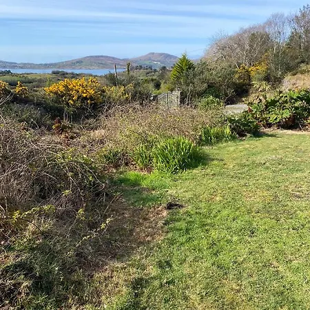 Dream Castletownbere