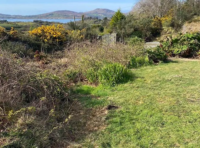 Dream Castletownbere